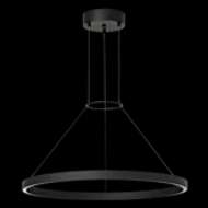 Picture of FIAMA 30 SUSPENSION