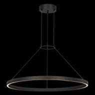 Picture of FIAMA 30 SUSPENSION