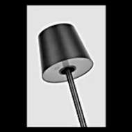 Picture of NEVIS MEDIUM RECHARGEABLE FLOOR LAMP