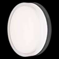 Picture of CIRQUE LARGE OUTDOOR WALL/FLUSH MOUNT