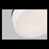 Picture of RHETT FLUSH MOUNT