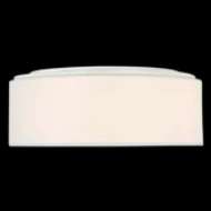 Picture of LARSON TWO LIGHT FLUSH MOUNT