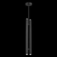 Picture of EBELL 2 LIGHT PENDANT