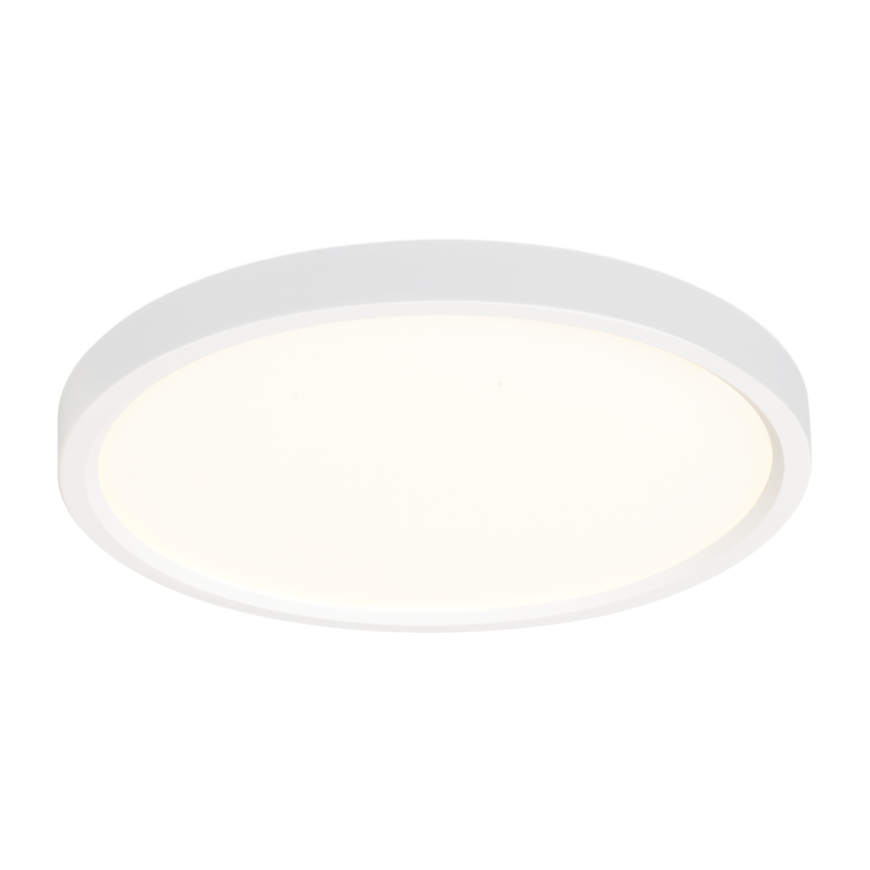 Picture of LOTUS - ROUND 7"