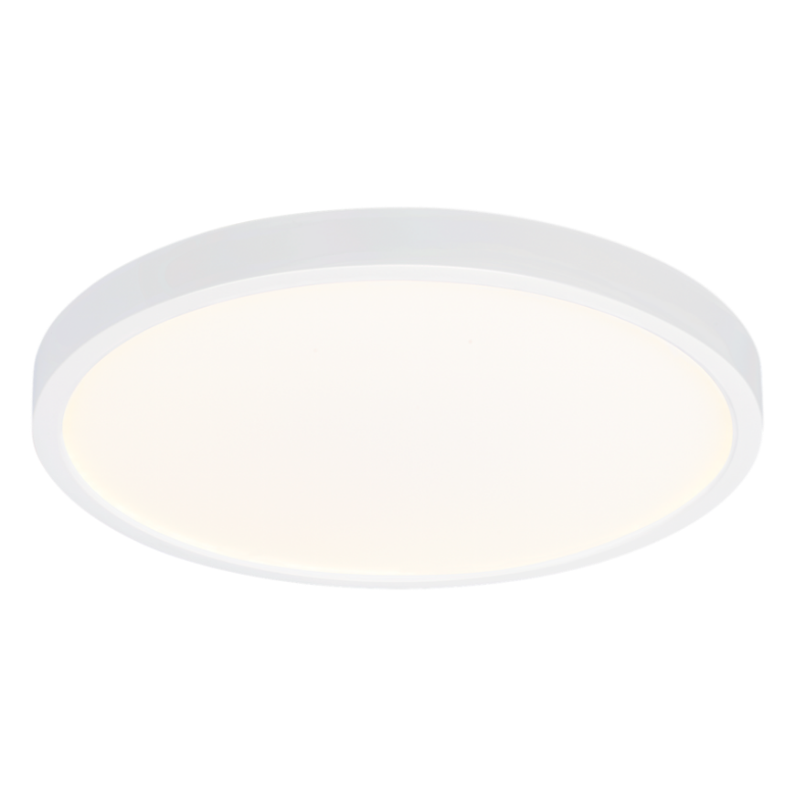 Picture of LOTUS ROUND 12"