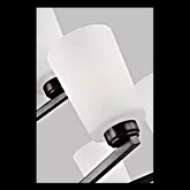 Picture of FRANPORT NINE LIGHT CHANDELIER