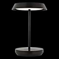 Picture of TEPA SHORT ACCENT RECHARGEABLE TABLE LAMP