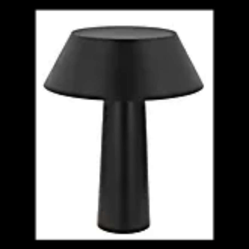 Picture of SESA ACCENT RECHARGEABLE TABLE LAMP