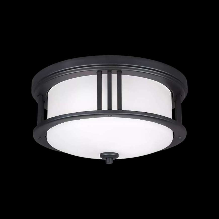 Picture of CROWELL TWO LIGHT FLUSH MOUNT