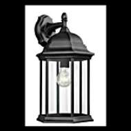 Picture of SEVIER LARGE DOWN WALL LANTERN