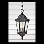 Picture of MARTINSVILLE 21" HANGING LANTERN