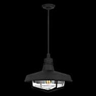 Picture of HOLLIS LARGE PENDANT