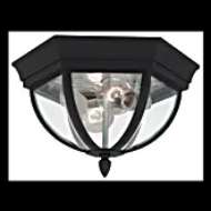 Picture of WYNFIELD FLUSH MOUNT