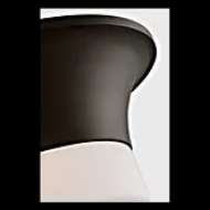 Picture of SINA MEDIUM FLUSH MOUNT