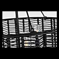 Picture of WINSLOW MEDIUM HANGING SHADE