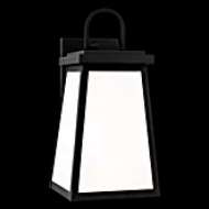 Picture of FOUNDERS LARGE WALL LANTERN