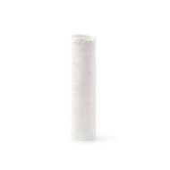 Picture of ASPEN TALL VASE, BLANC DE CHINE