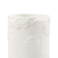 Picture of ASPEN TALL VASE, BLANC DE CHINE