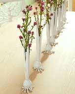 Picture of GARLIC BUD WH