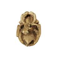 Picture of FORTUNE HABR