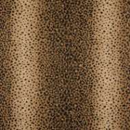 Picture of X SIDE GCHEETAH