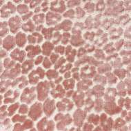 Picture of X SIDE NPLEOPARD