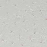 Picture of X SIDE NUO