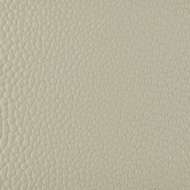 Picture of HARRINGTON CS