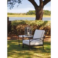 Picture of PAVLOVA LOUNGE CHAIR