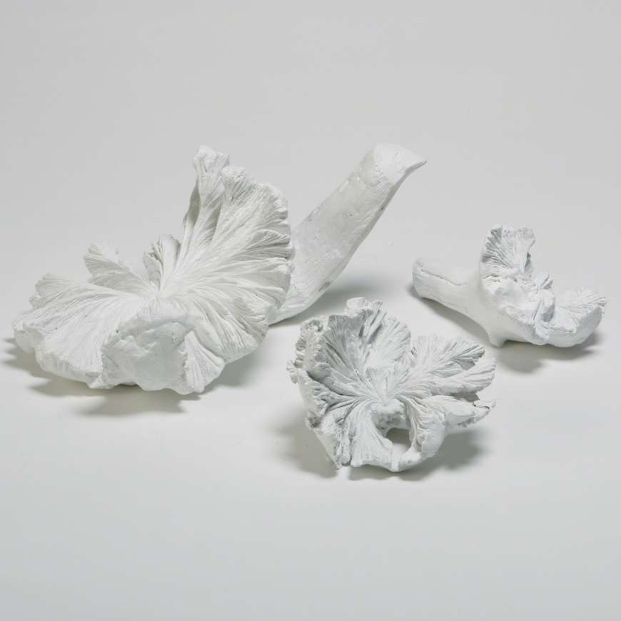 Picture of VOLCANO FLOWERS-WHITE