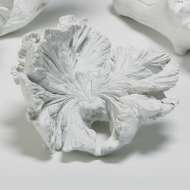Picture of VOLCANO FLOWERS-WHITE