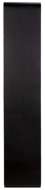 Picture of PALOMA BOOKCASE, BLACK STEEL