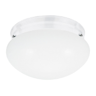 Picture of WEBSTER ONE LIGHT FLUSH MOUNT