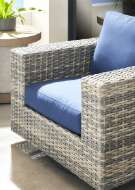 Picture of MONTCLAIR OUTDOOR SWIVEL GLIDER