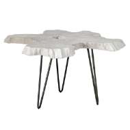 Picture of TRILLIUM COFFEE TABLE